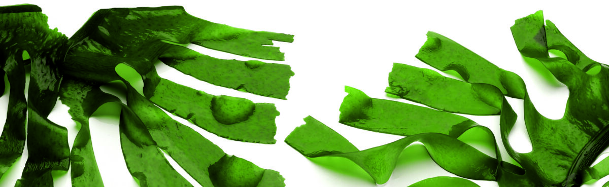 Algue Wakame déshydraté - 50g – Image 2